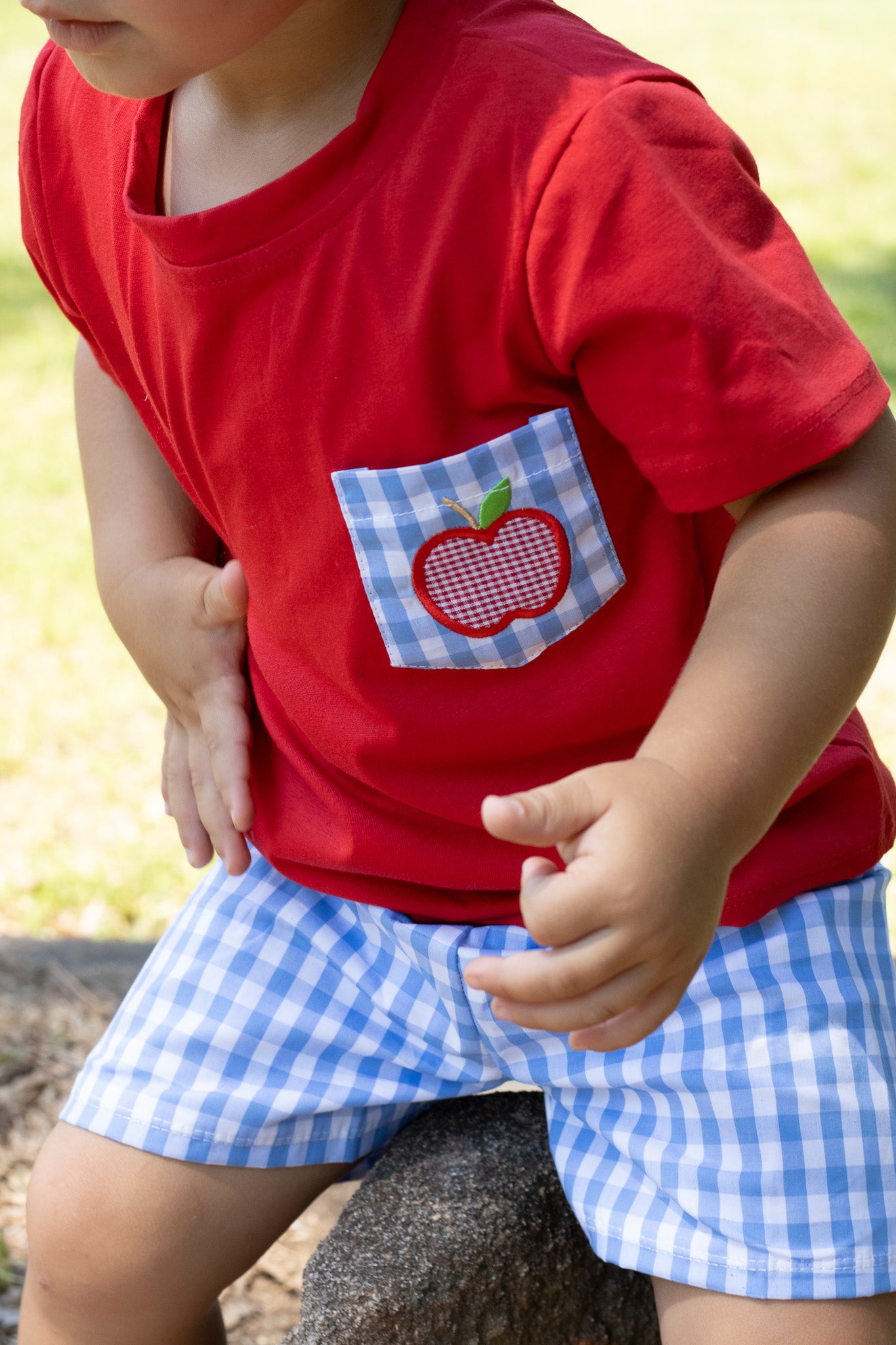 Sweet Apple Shorts Set