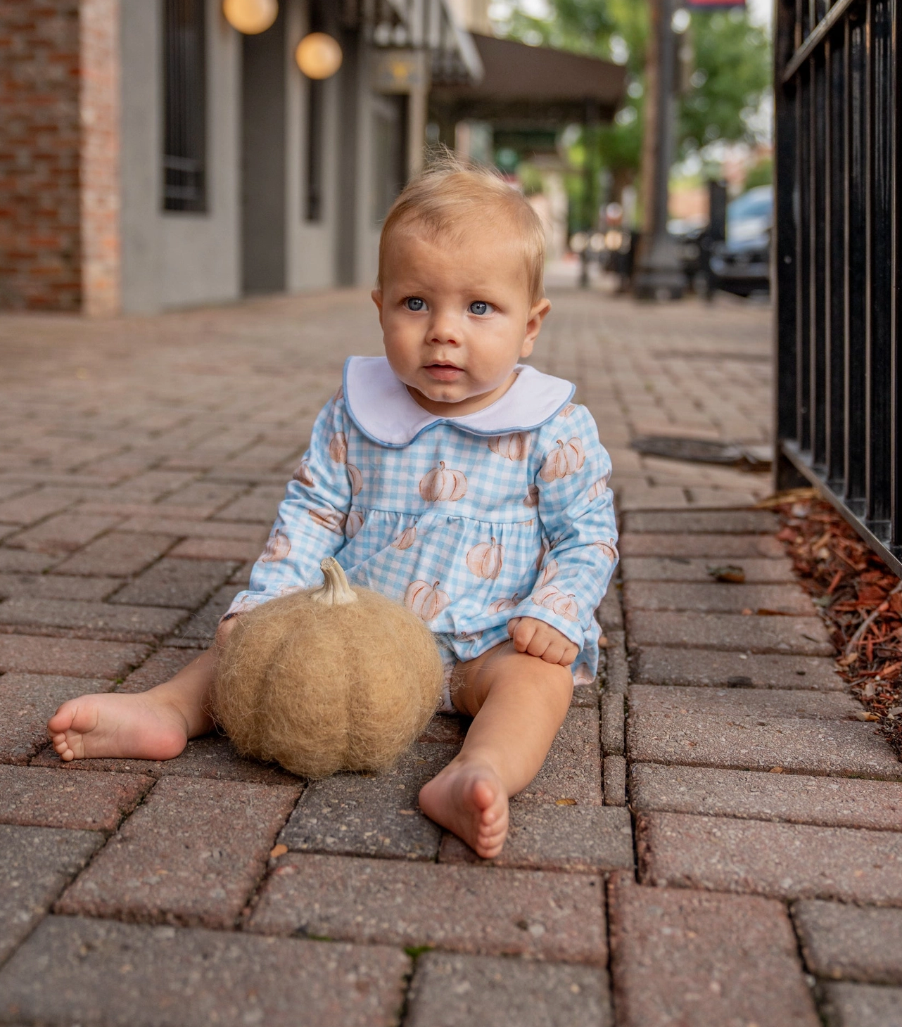 Hank Blue Check Pumpkin Bubble