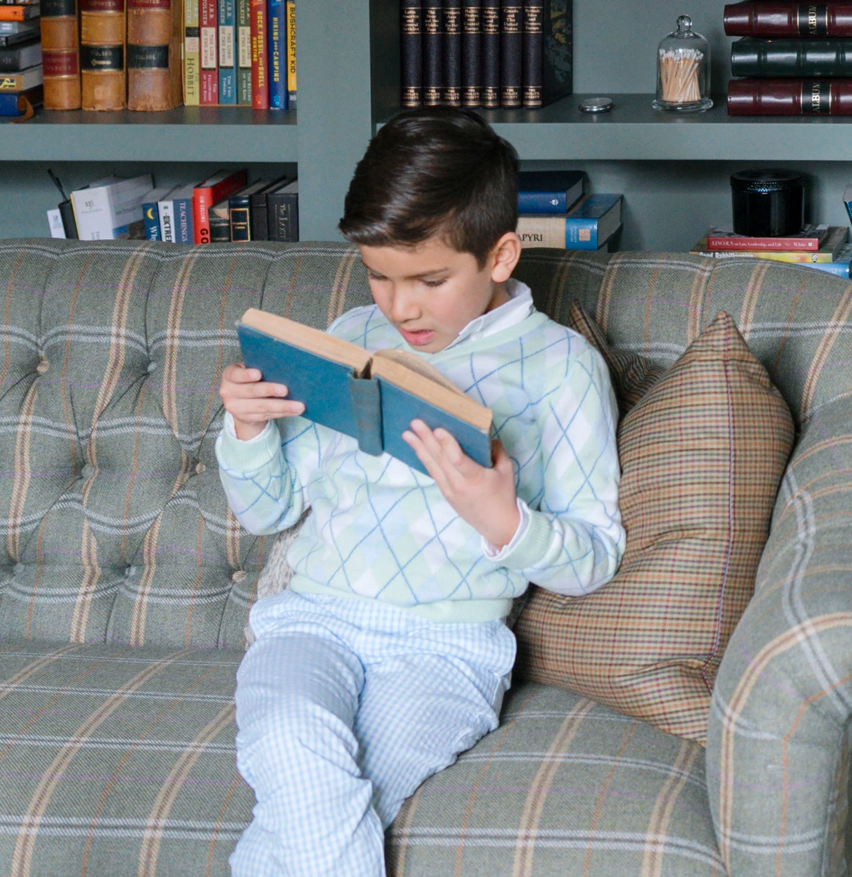 Organic Fine Gauge V-Neck Sweater